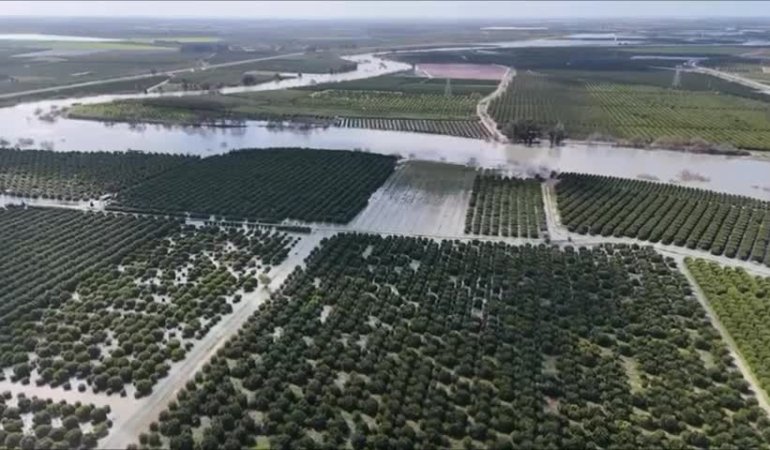 CHP’li Barut: “İktidar bir an önce Adana’da mağduriyet yaşayan çiftçilerin ve vatandaşların zararlarını karşılamalı”