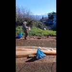 617f30ca2813646ae3b6cb08e1772df8