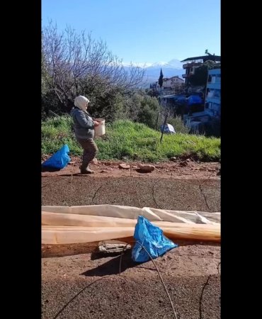 617f30ca2813646ae3b6cb08e1772df8