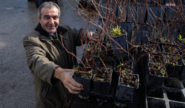 Bursa Büyükşehir Belediyesi “Fide ve Fidan Desteği Projesi” ile üreticilere destek sağlıyor