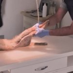 b5e7fc464e899fccfabd4139be20fa9d