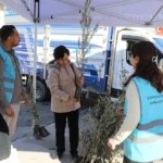 be09b4493cb1a7875c990839c8085fbd