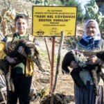 d74cd70eb2e75bddb81d519a0f4ecfc6